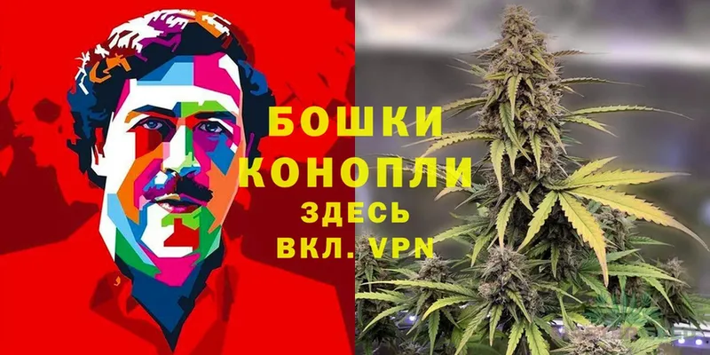 Купить наркотики сайты Камышлов A-PVP  Мефедрон  Cocaine  ГАШИШ  АМФ  Конопля 